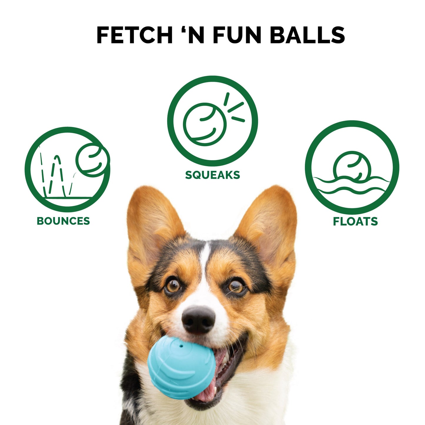 Fetch 'N Fun TPR Ball (3 pack)