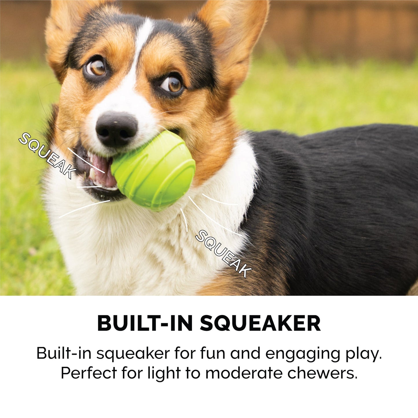 Fetch 'N Fun TPR Ball (3 pack)