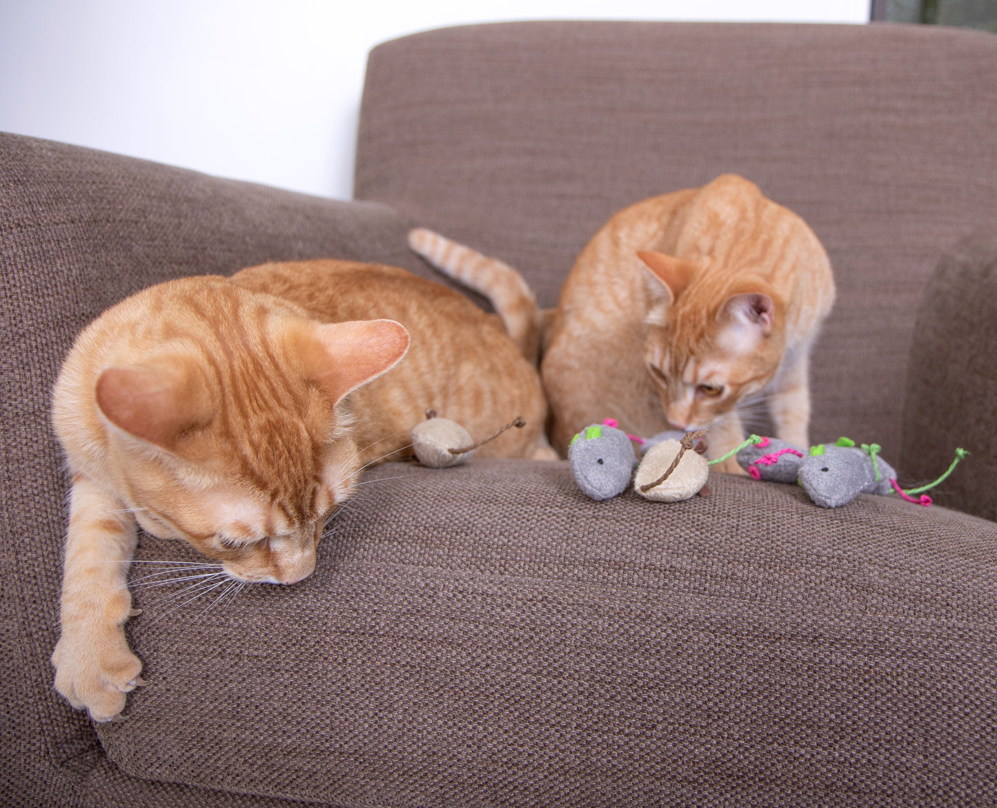 Skitter Critters Value Pack Plush Catnip Cat Toys, Gray & Cream (Set of 10)