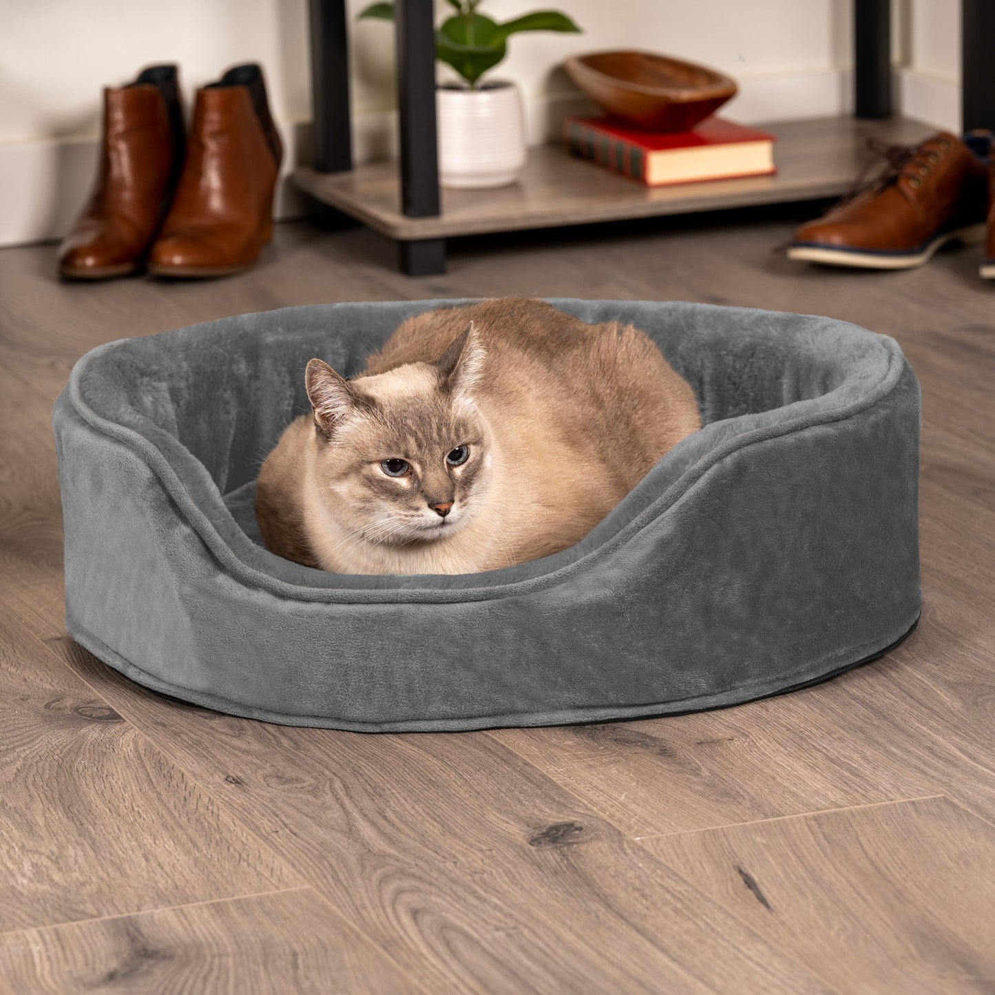 Oval Dog Bed - Plush & Velvet