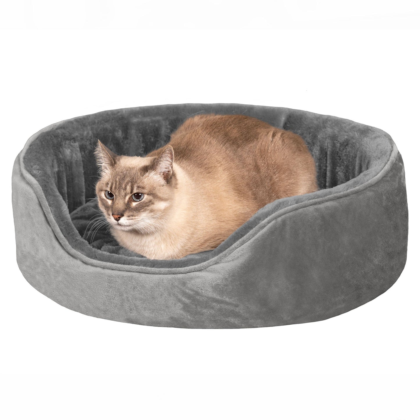 Oval Dog Bed - Plush & Velvet