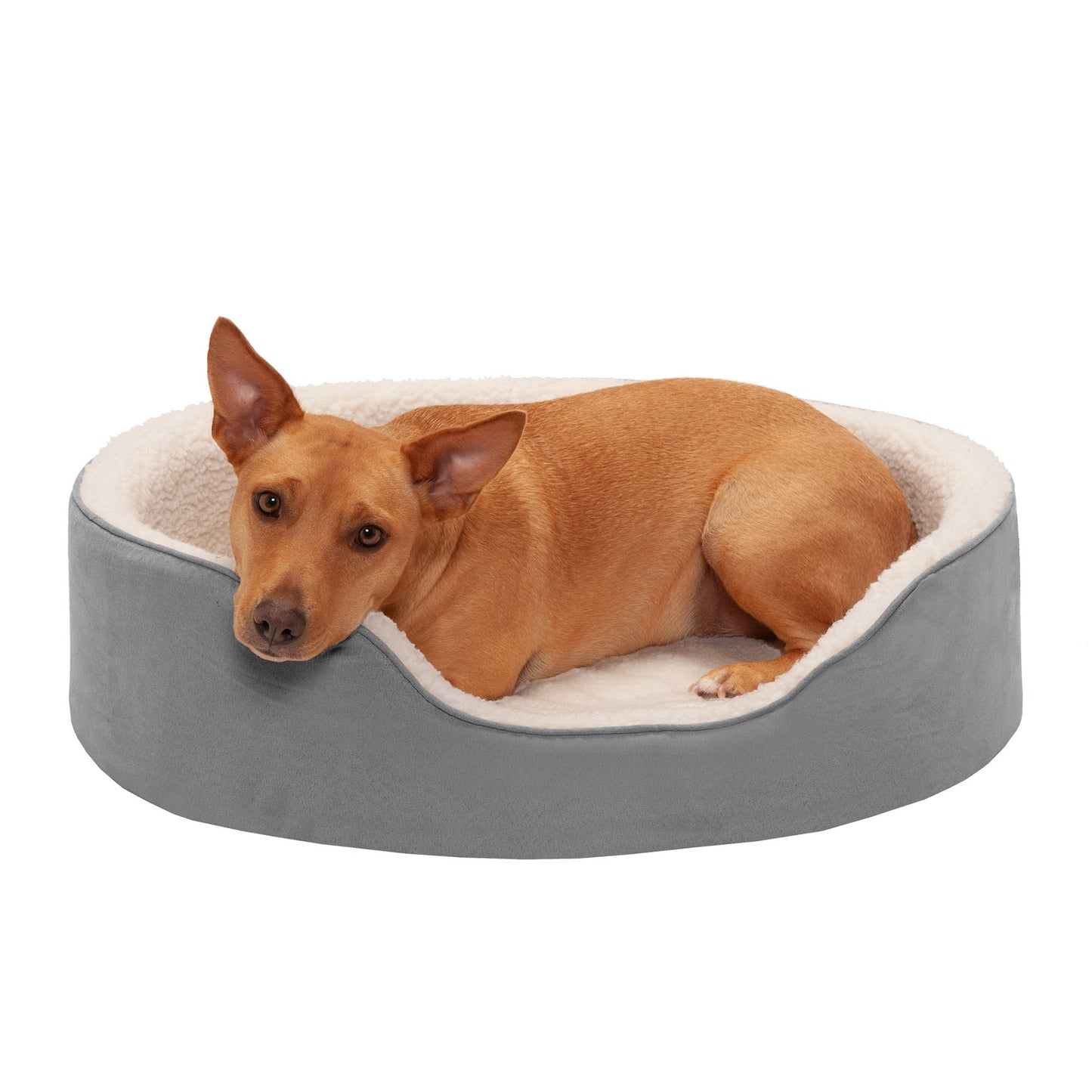 Oval Dog Bed - Faux Sheepskin & Suede