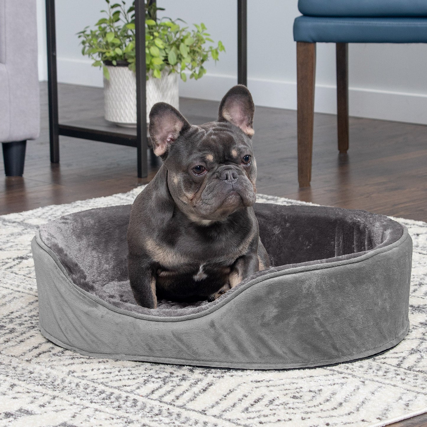 Oval Dog Bed - Plush & Velvet