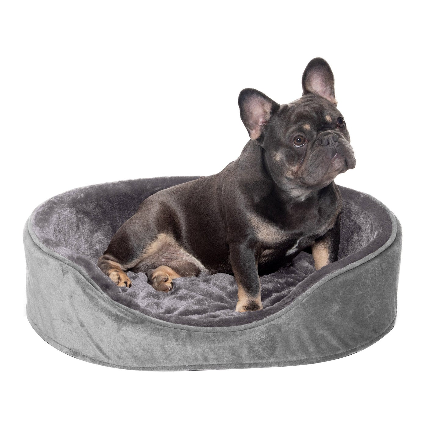 Oval Dog Bed - Plush & Velvet