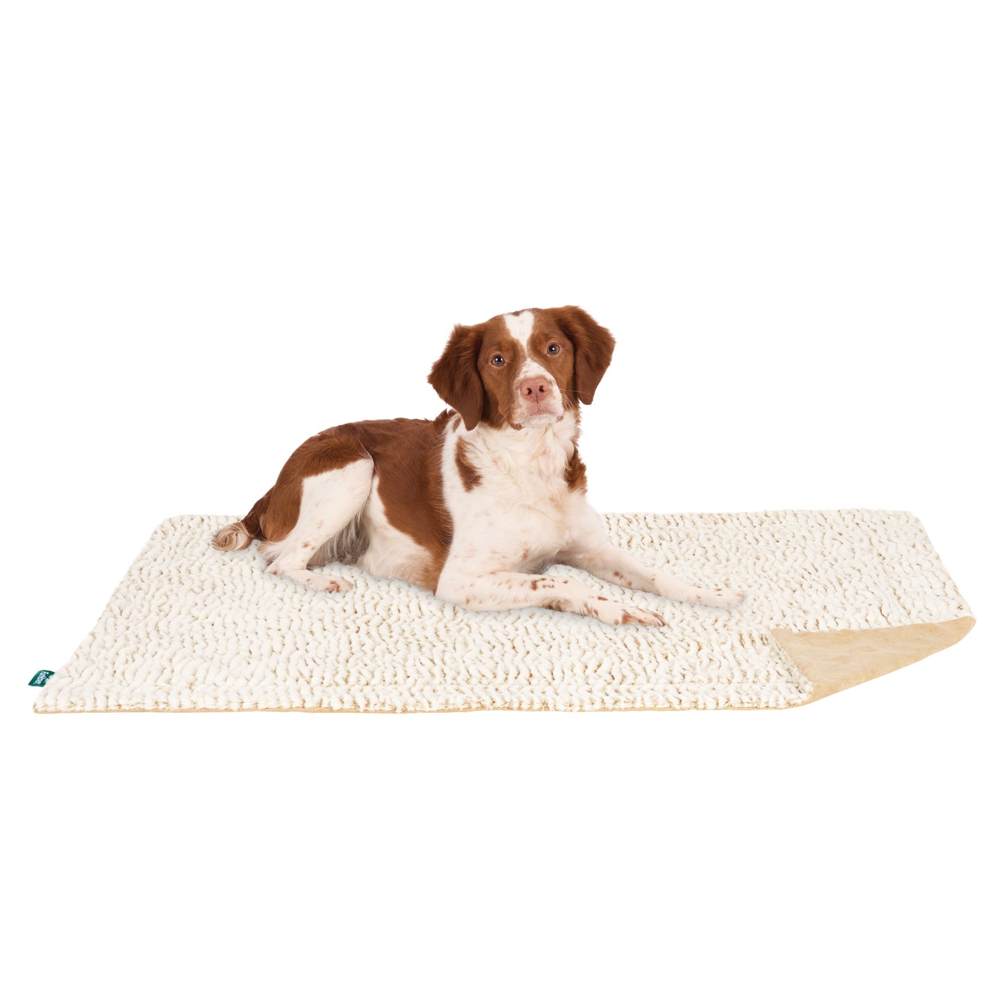 Birch Faux Fur & Suede Waterproof Pet Blanket