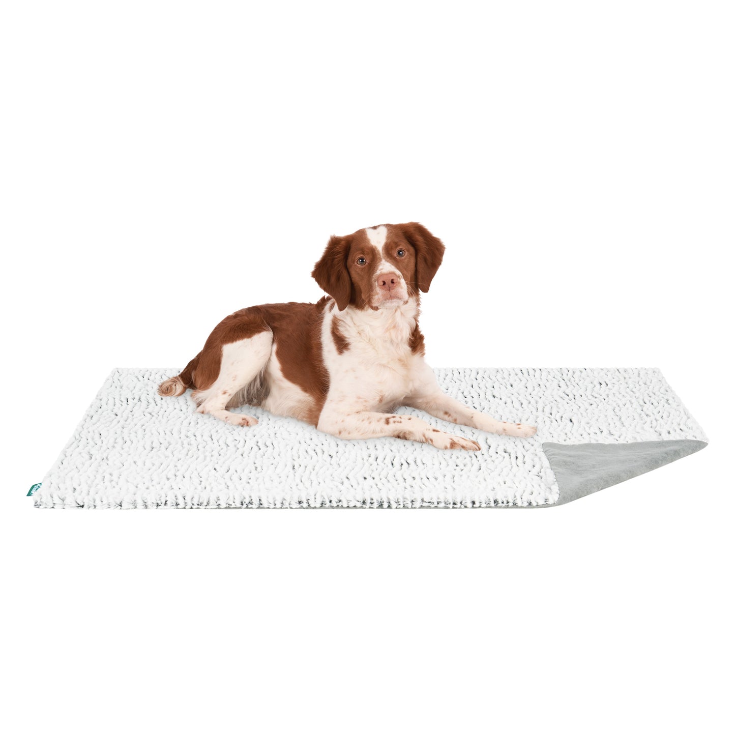 Birch Faux Fur & Suede Waterproof Pet Blanket