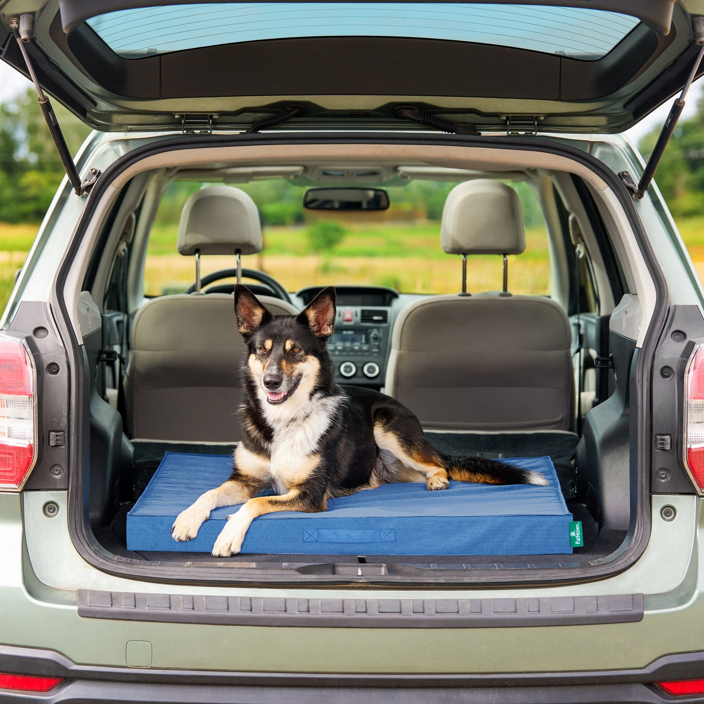 Grid Indoor-Outdoor Deluxe Mattress Pet Bed