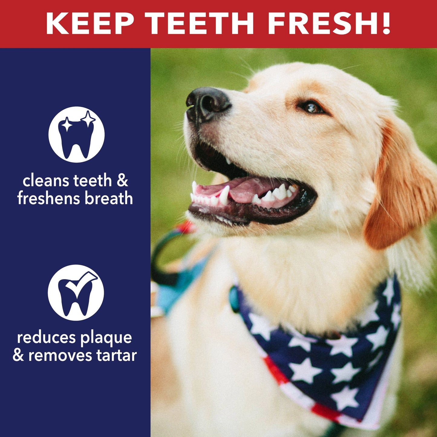 Pet Factory - American Beefhide Twist Sticks Flavored Dog Treats, 5"