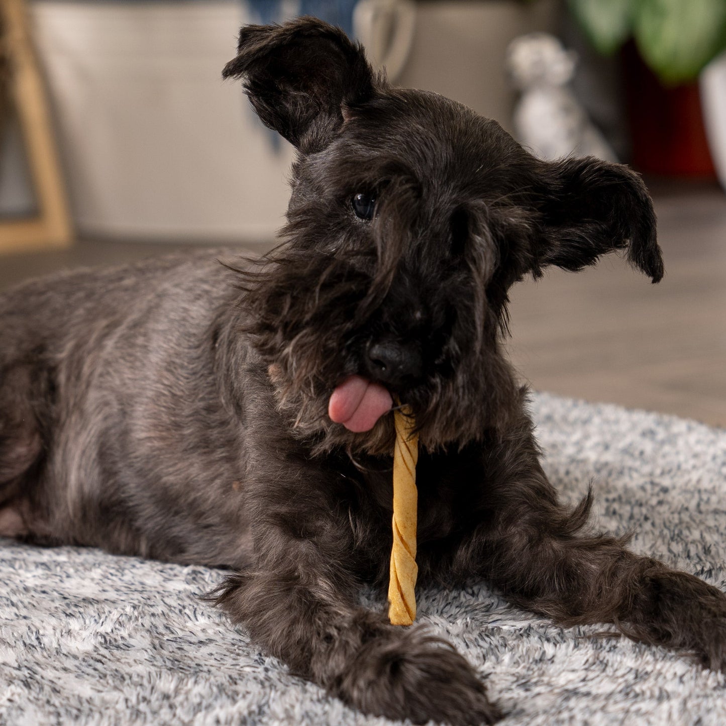 Pet Factory - American Beefhide Twist Sticks Flavored Dog Treats, 5"