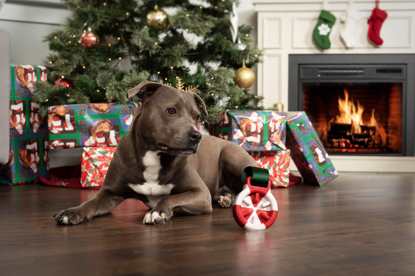Winter Wonder-Mint Holiday Slow Feeder Dog Toy
