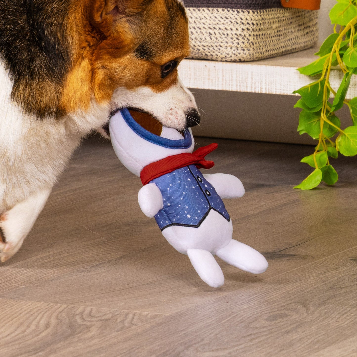Dapper Dandies Plush Dog Toy Set - Galactic Collection (2PK)