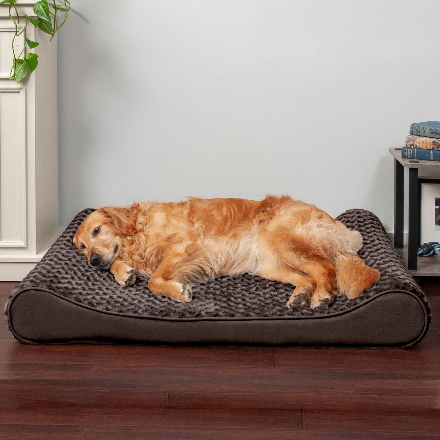 Luxe Lounger Contour Dog Bed - Ultra Plush