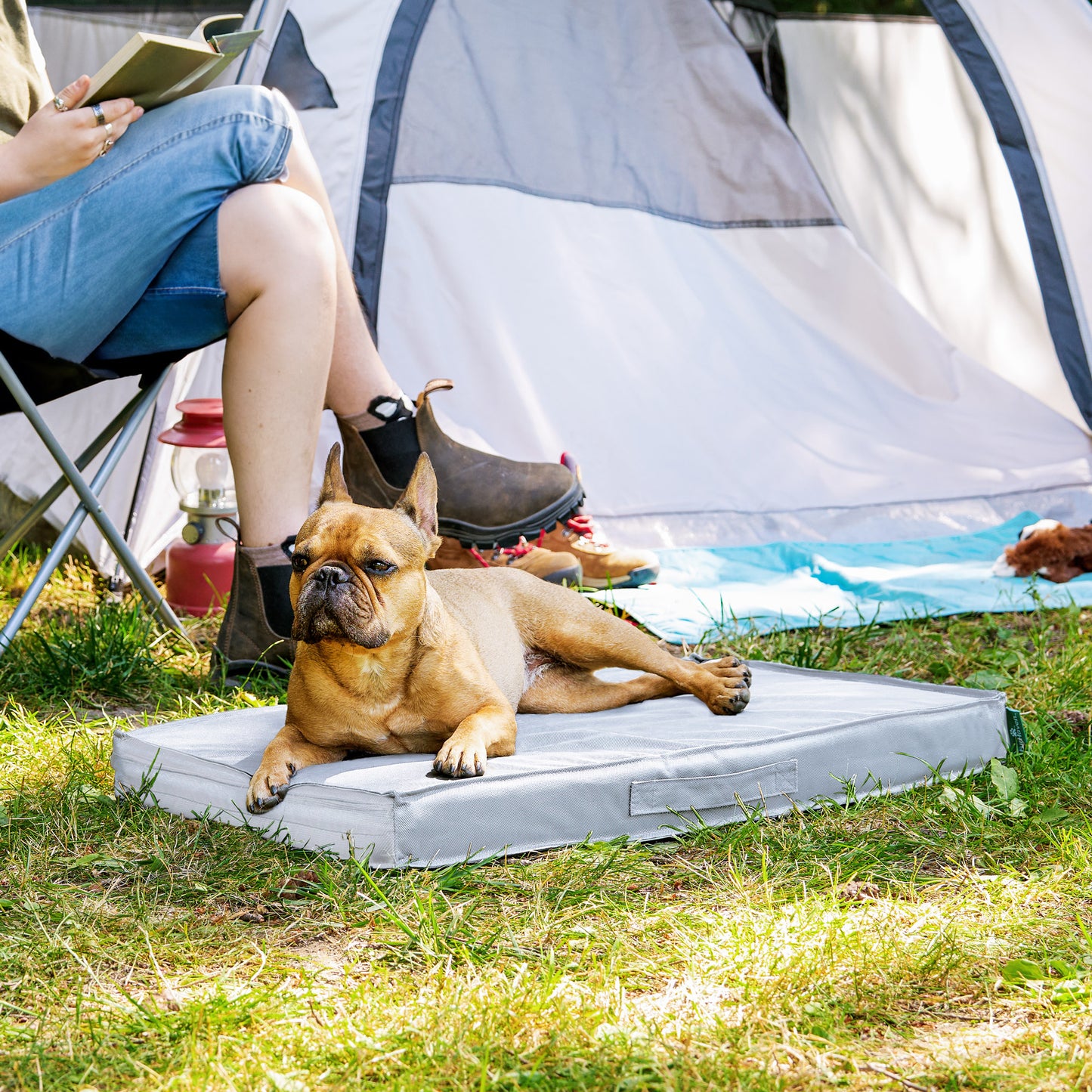 Premium Indoor-Outdoor Deluxe Mattress Pet Bed