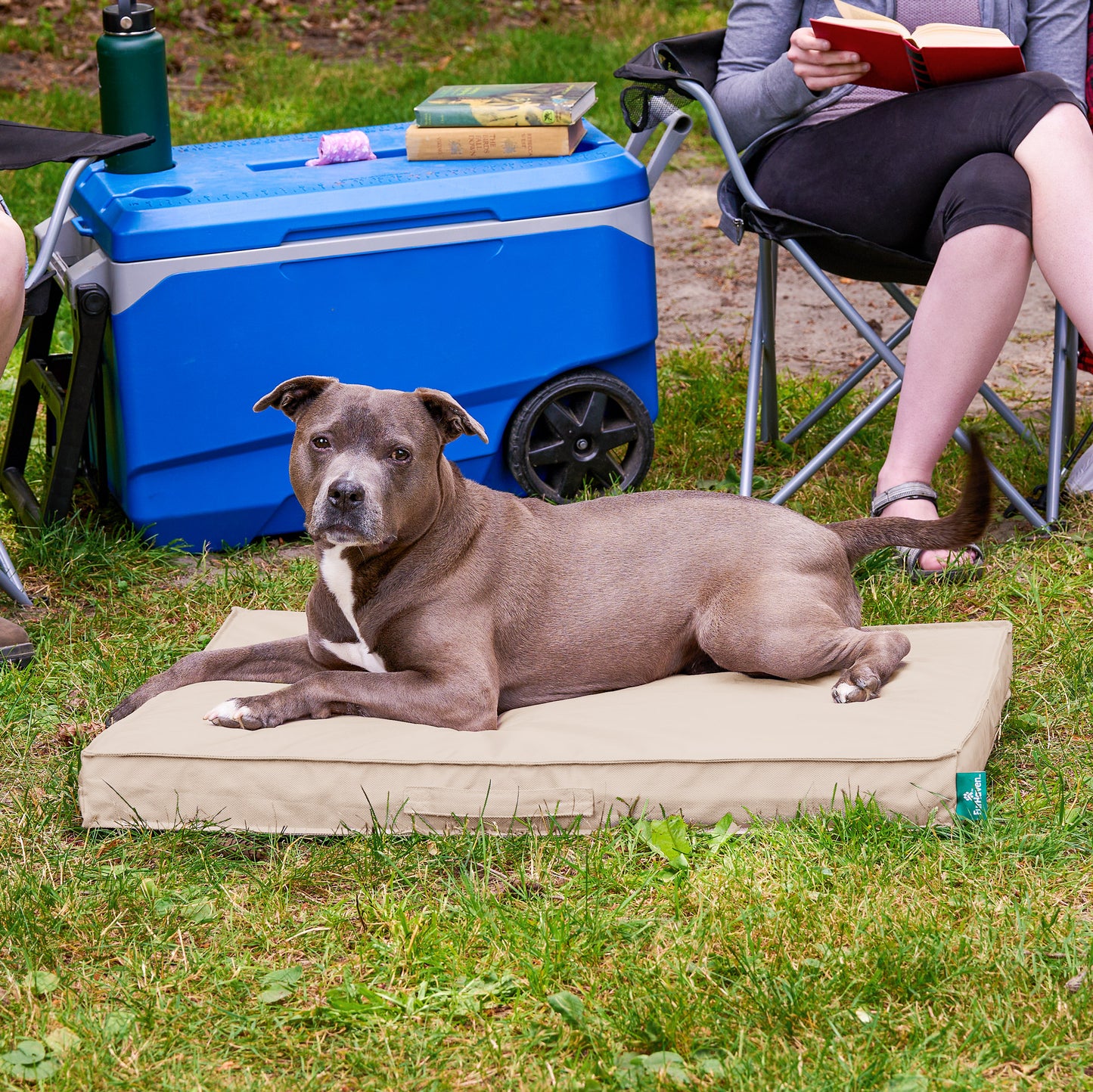 Premium Indoor-Outdoor Deluxe Mattress Pet Bed