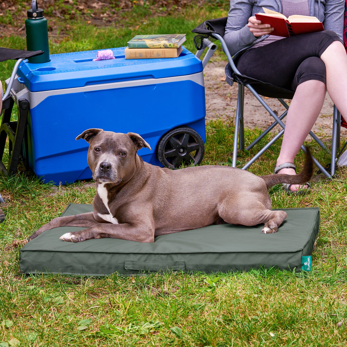 Premium Indoor-Outdoor Deluxe Mattress Pet Bed