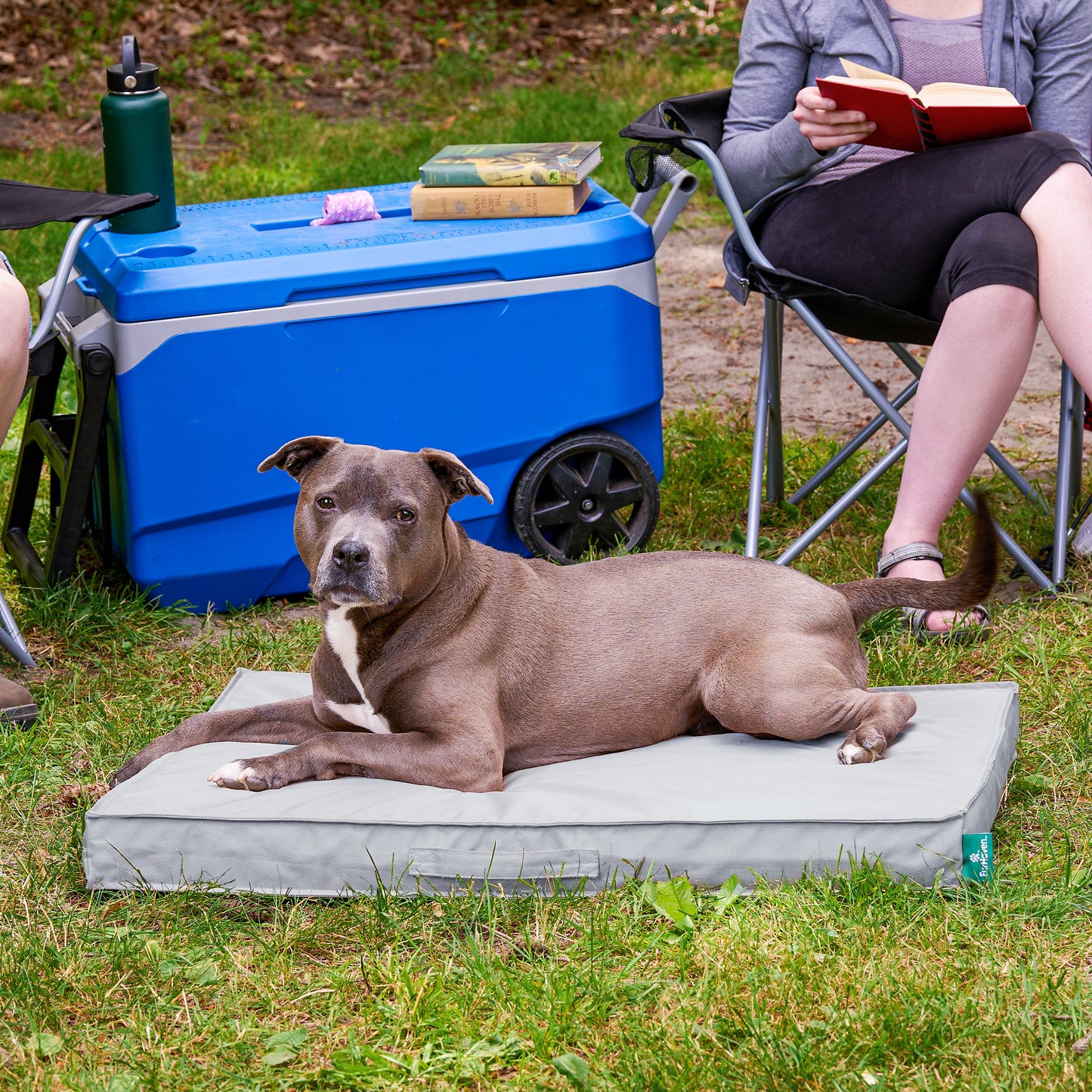 Premium Indoor-Outdoor Deluxe Mattress Pet Bed