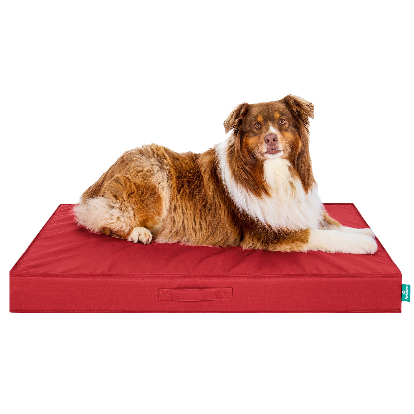 Grid Indoor-Outdoor Deluxe Mattress Pet Bed