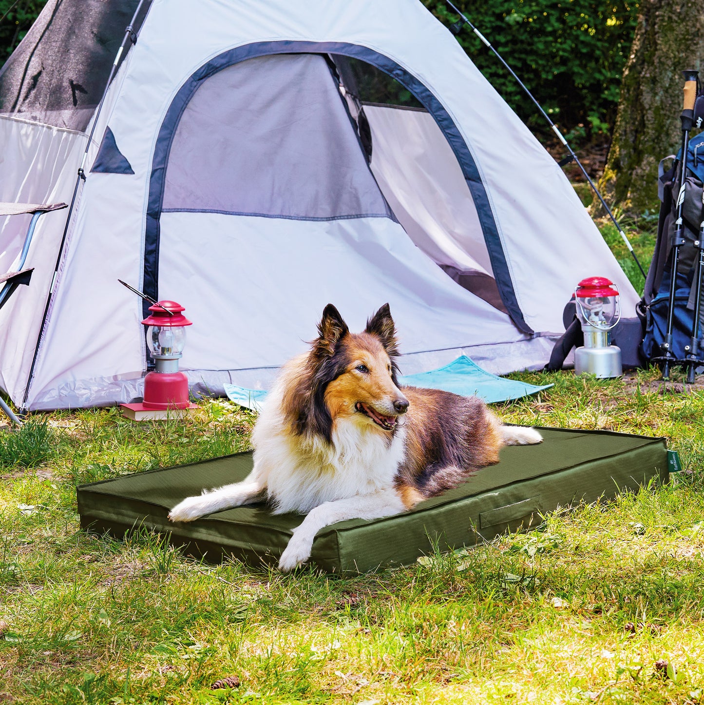 Grid Indoor-Outdoor Deluxe Mattress Pet Bed