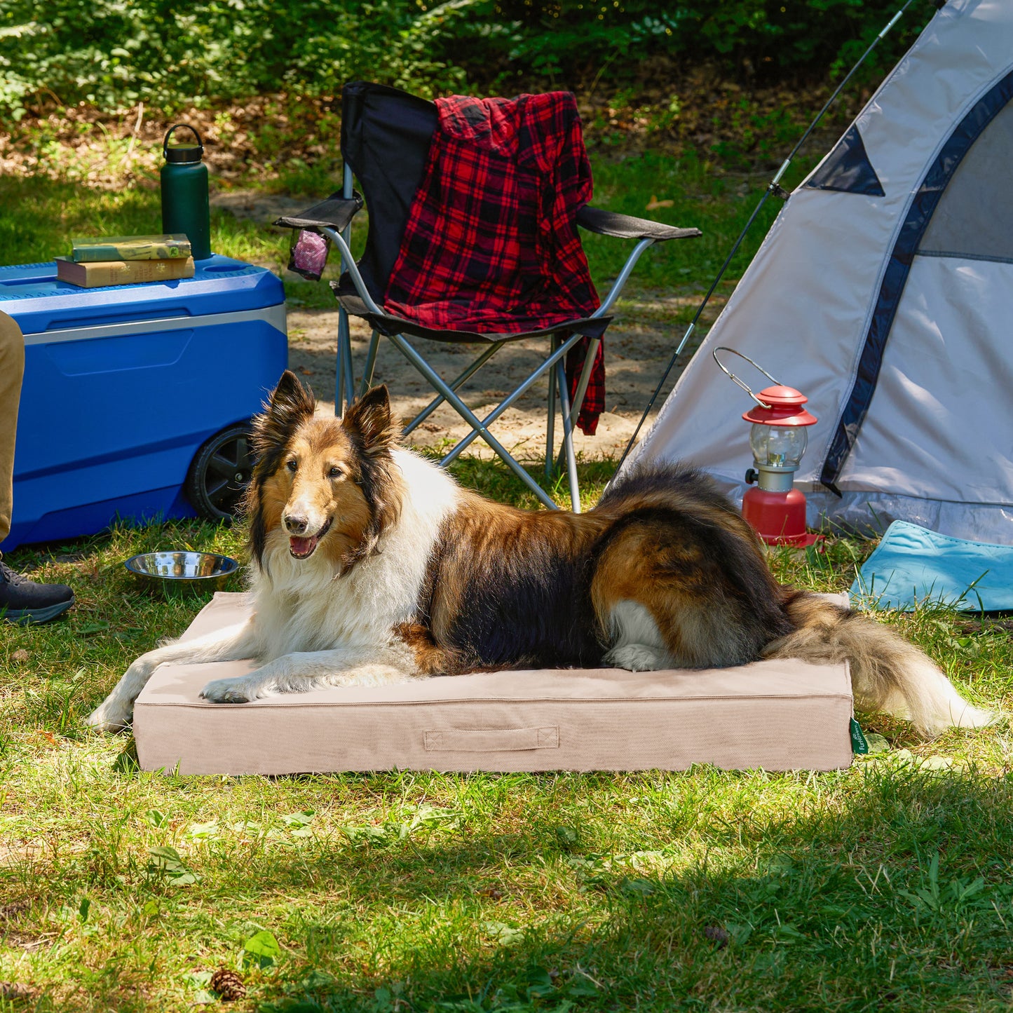 Premium Indoor-Outdoor Deluxe Mattress Pet Bed