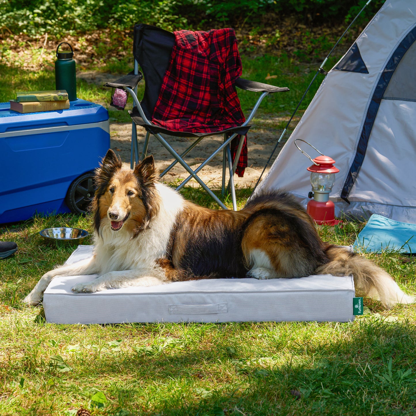 Premium Indoor-Outdoor Deluxe Mattress Pet Bed