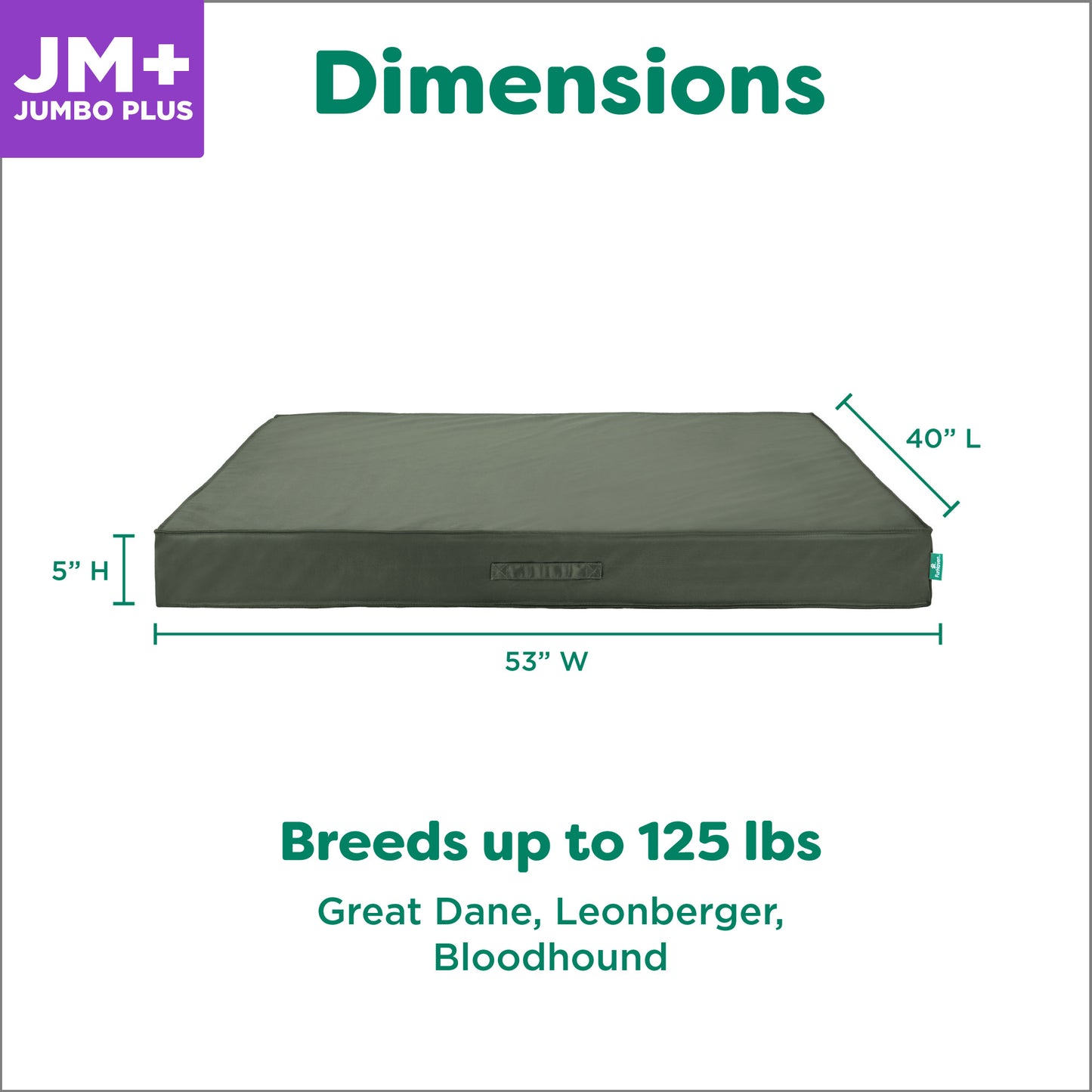 Premium Indoor-Outdoor Deluxe Mattress Pet Bed