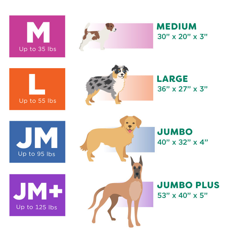 Premium Indoor-Outdoor Deluxe Mattress Pet Bed