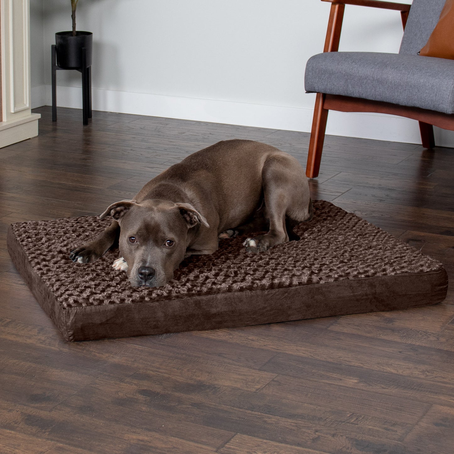 Deluxe Mattress Dog Bed - Ultra Plush