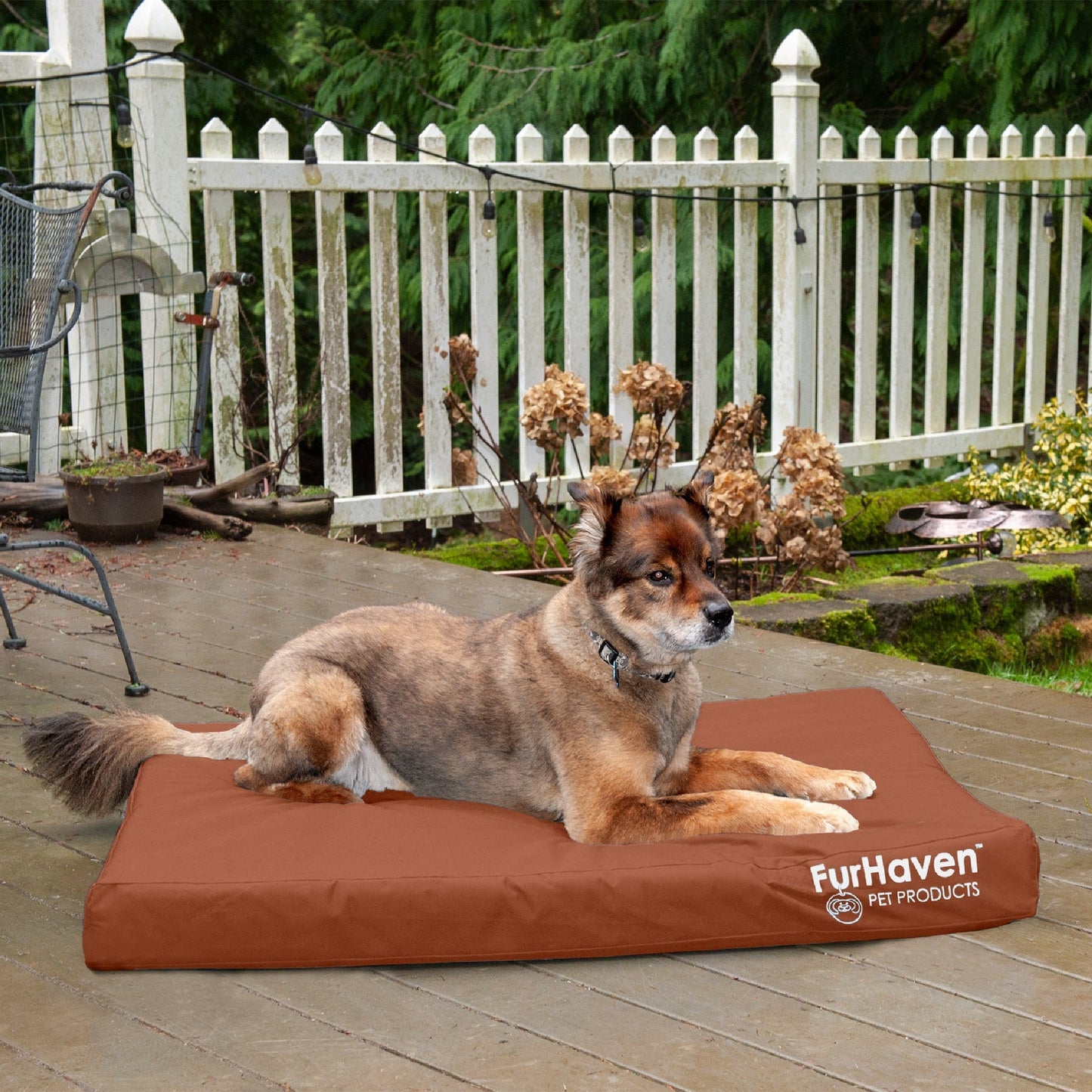 Deluxe Mattress Dog Bed - Indoor/Outdoor Oxford