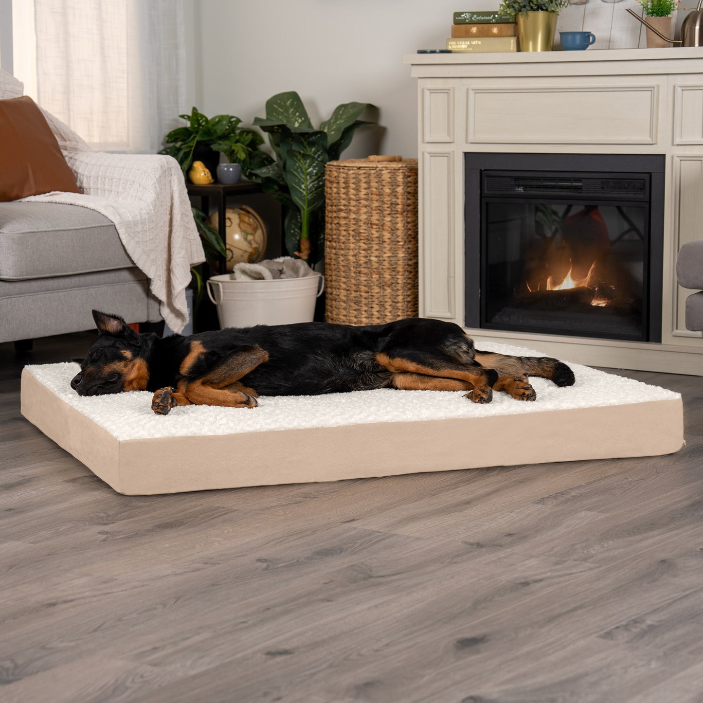 Deluxe Mattress Dog Bed - Ultra Plush