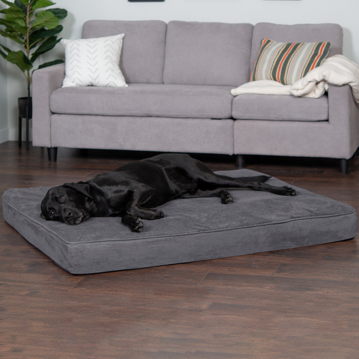 Deluxe Mattress Dog Bed - Terry & Suede