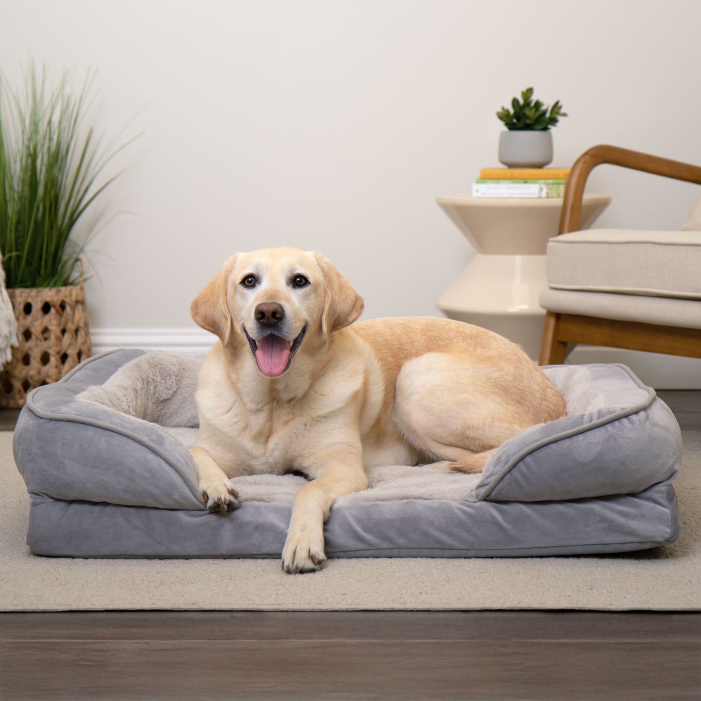 Sofa Dog Bed - Velvet Waves Perfect Comfort