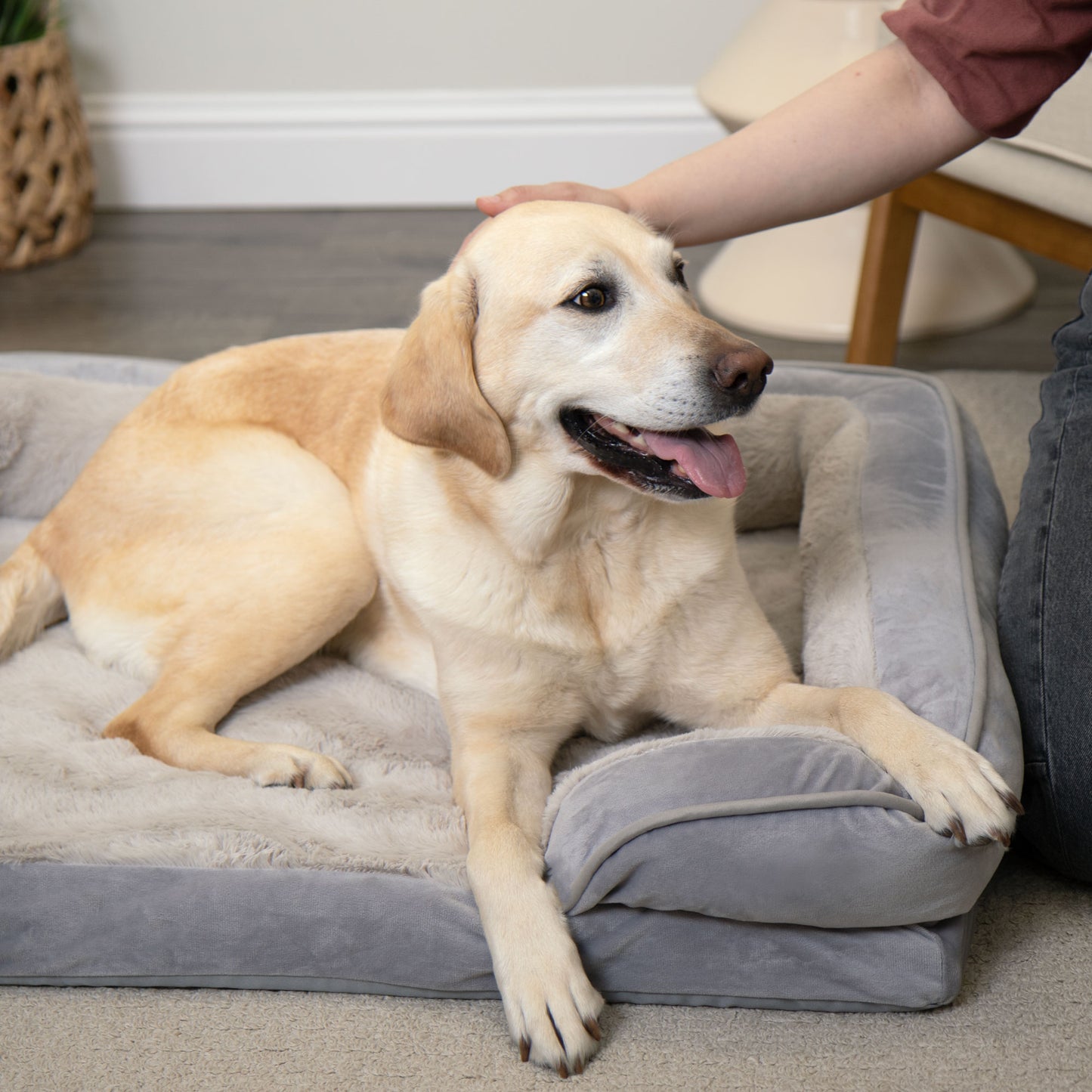 Sofa Dog Bed - Velvet Waves Perfect Comfort