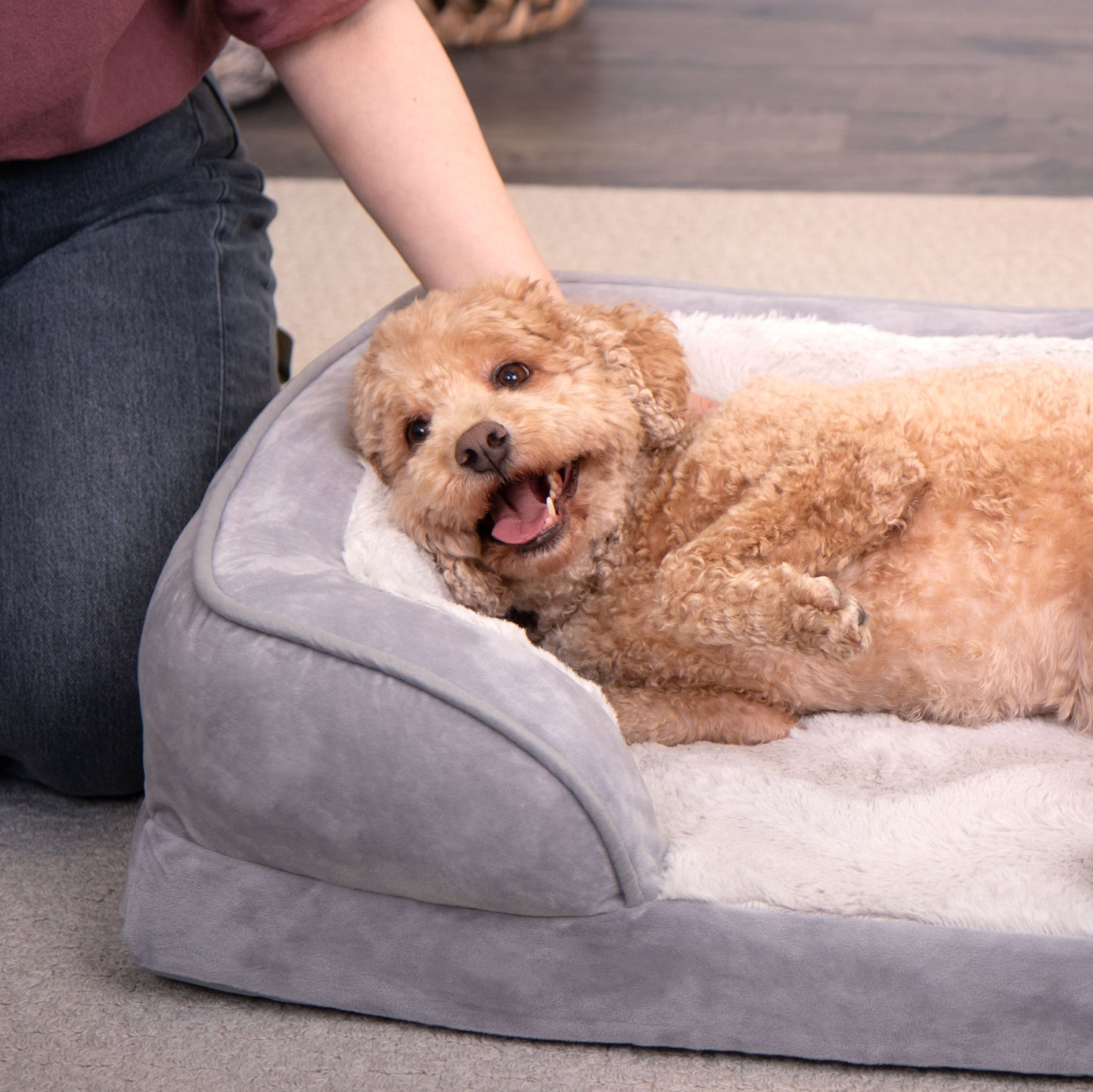 Sofa Dog Bed - Velvet Waves Perfect Comfort