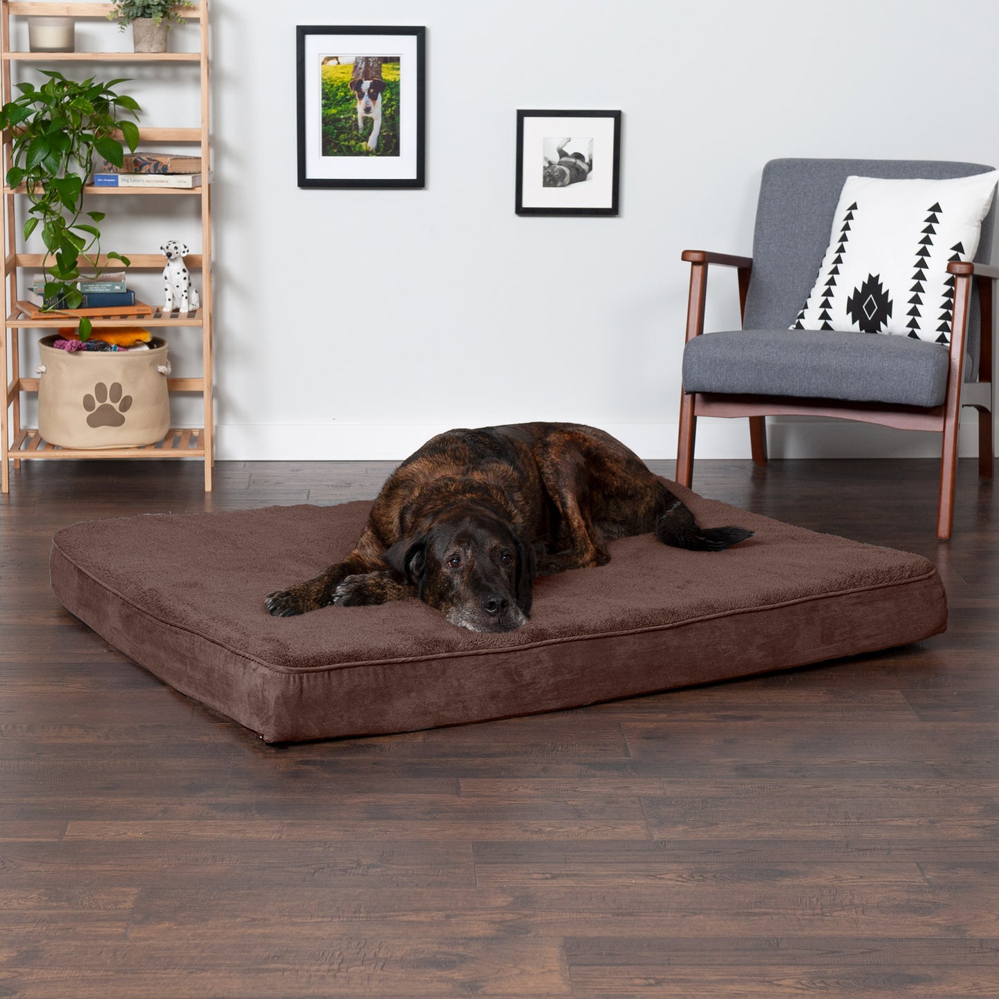 Deluxe Mattress Dog Bed - Terry & Suede