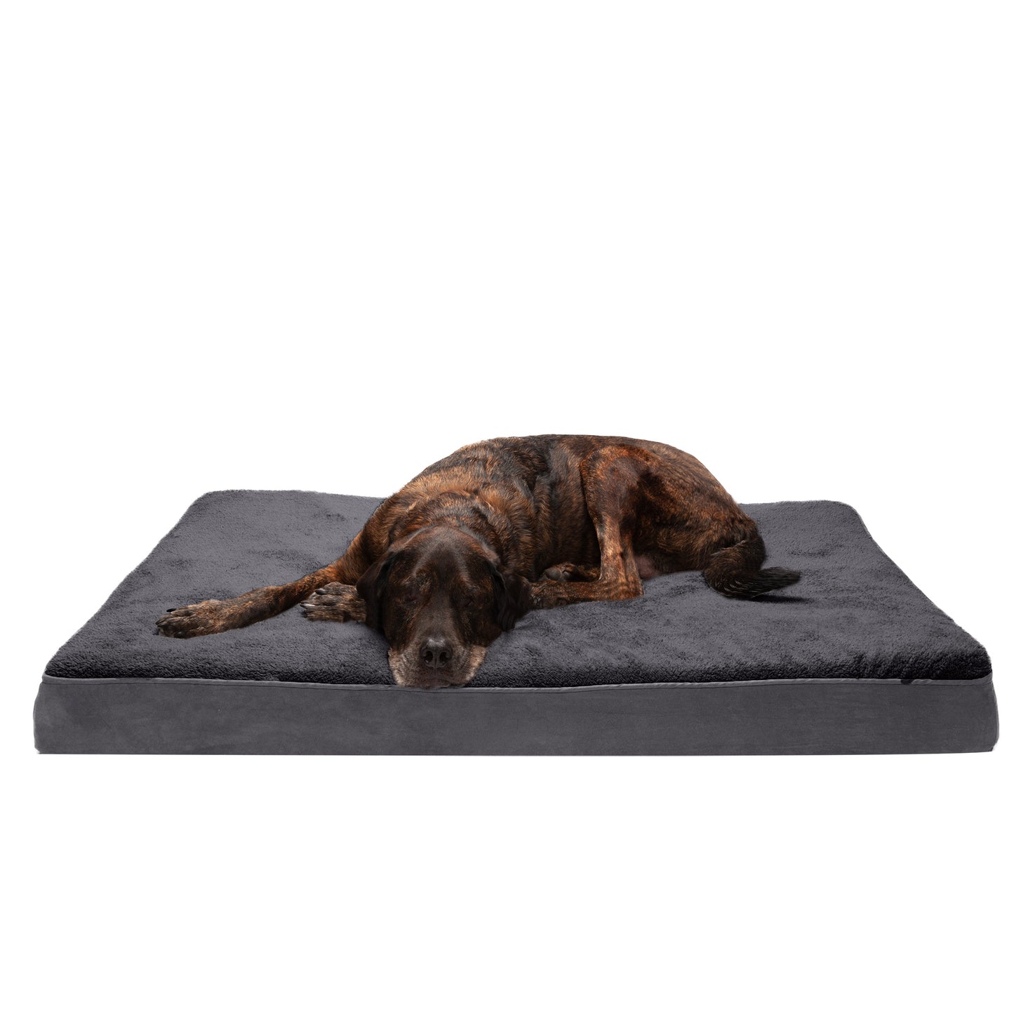 Deluxe Mattress Dog Bed - Terry & Suede