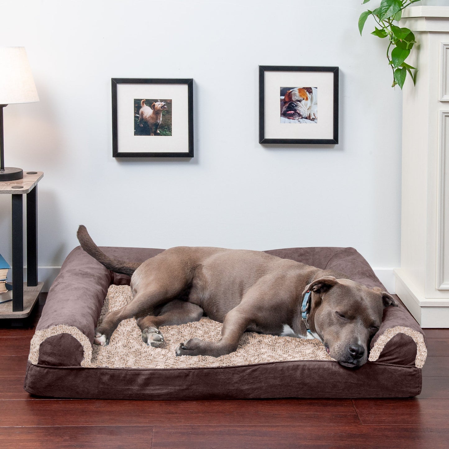 Sofa Dog Bed - Two-Tone Faux Fur & Suede