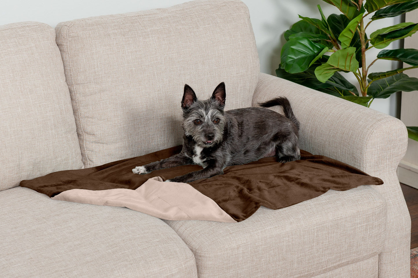 Waterproof Velvet Pet Throw Blanket