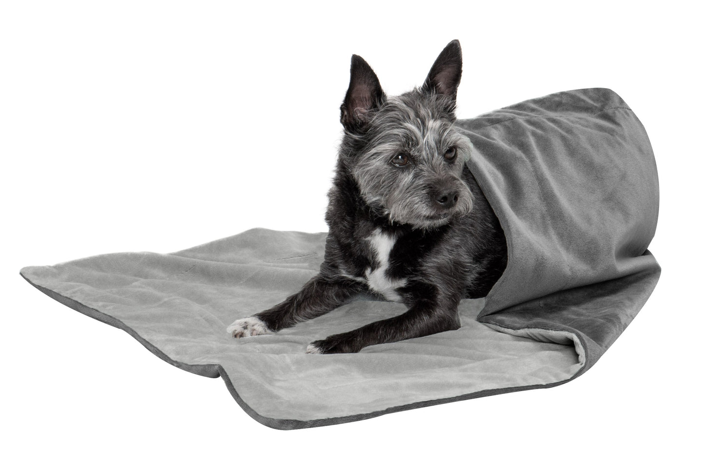 Waterproof Velvet Pet Throw Blanket