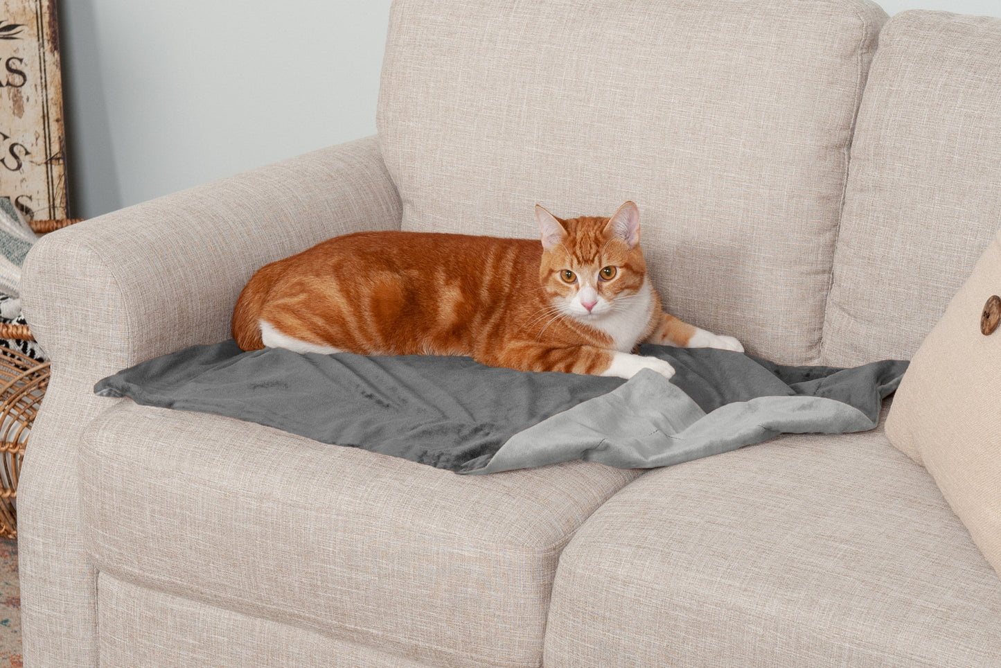 Waterproof Velvet Pet Throw Blanket