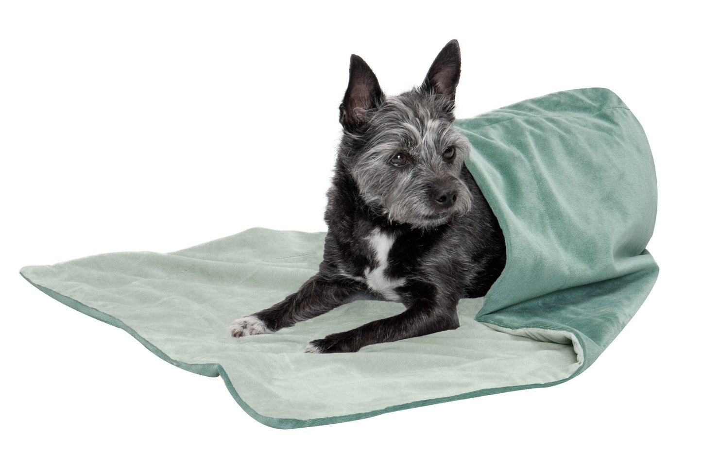 Waterproof Velvet Pet Throw Blanket