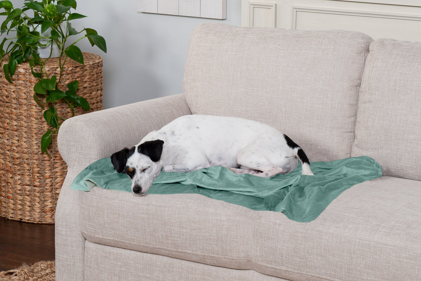 Waterproof Velvet Pet Throw Blanket