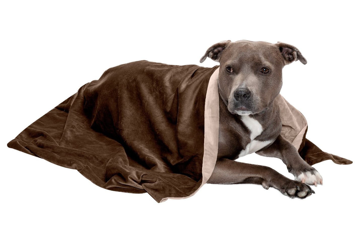 Waterproof Velvet Pet Throw Blanket
