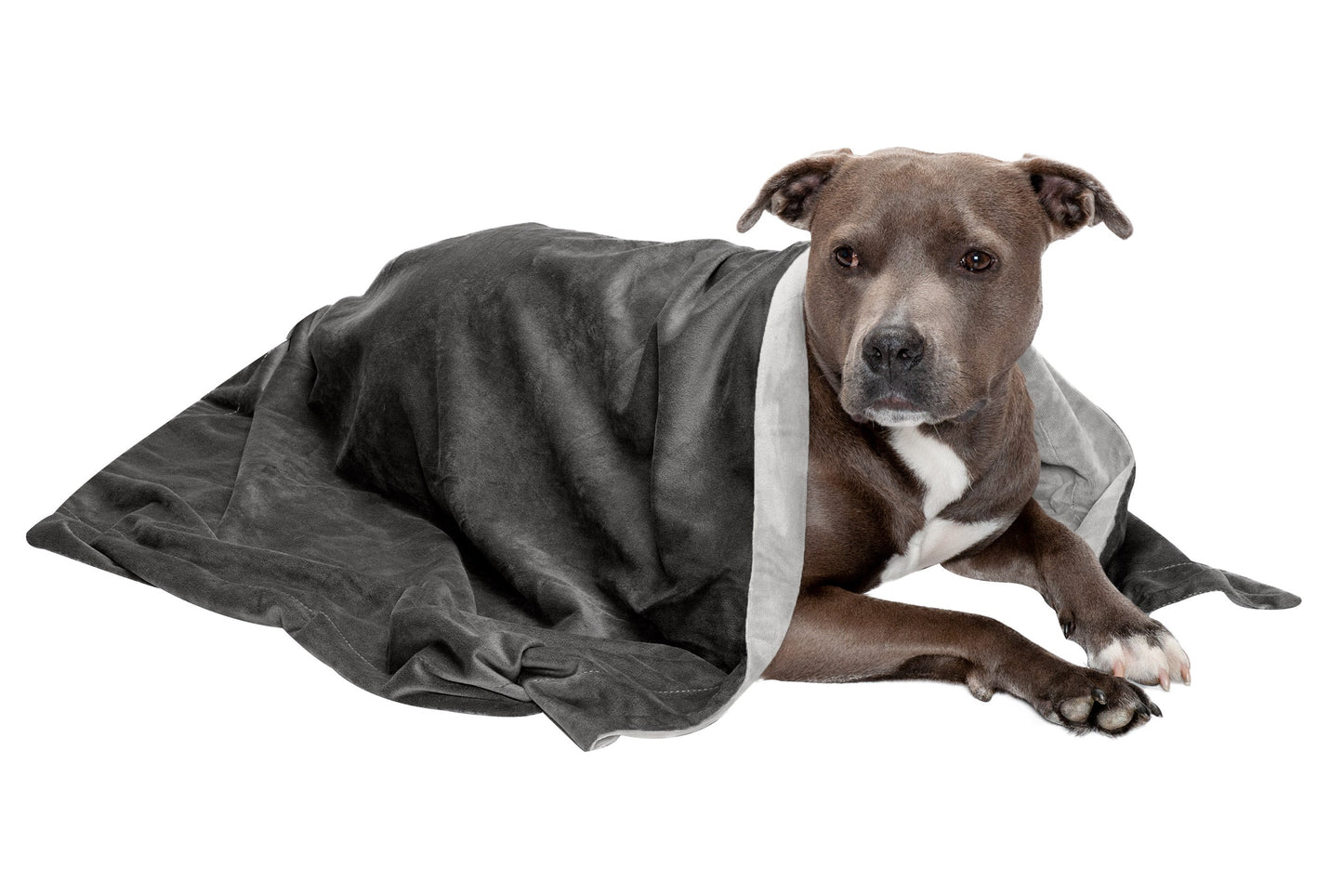 Waterproof Velvet Pet Throw Blanket