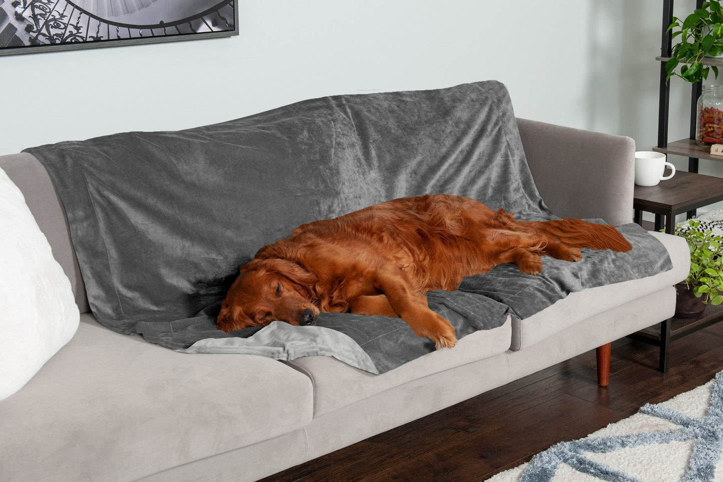 Waterproof Velvet Pet Throw Blanket