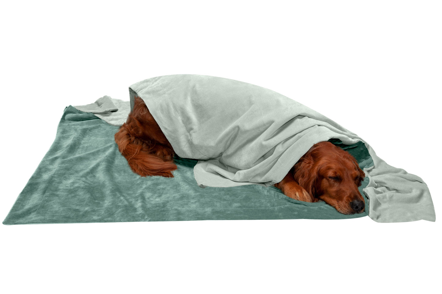 Waterproof Velvet Pet Throw Blanket