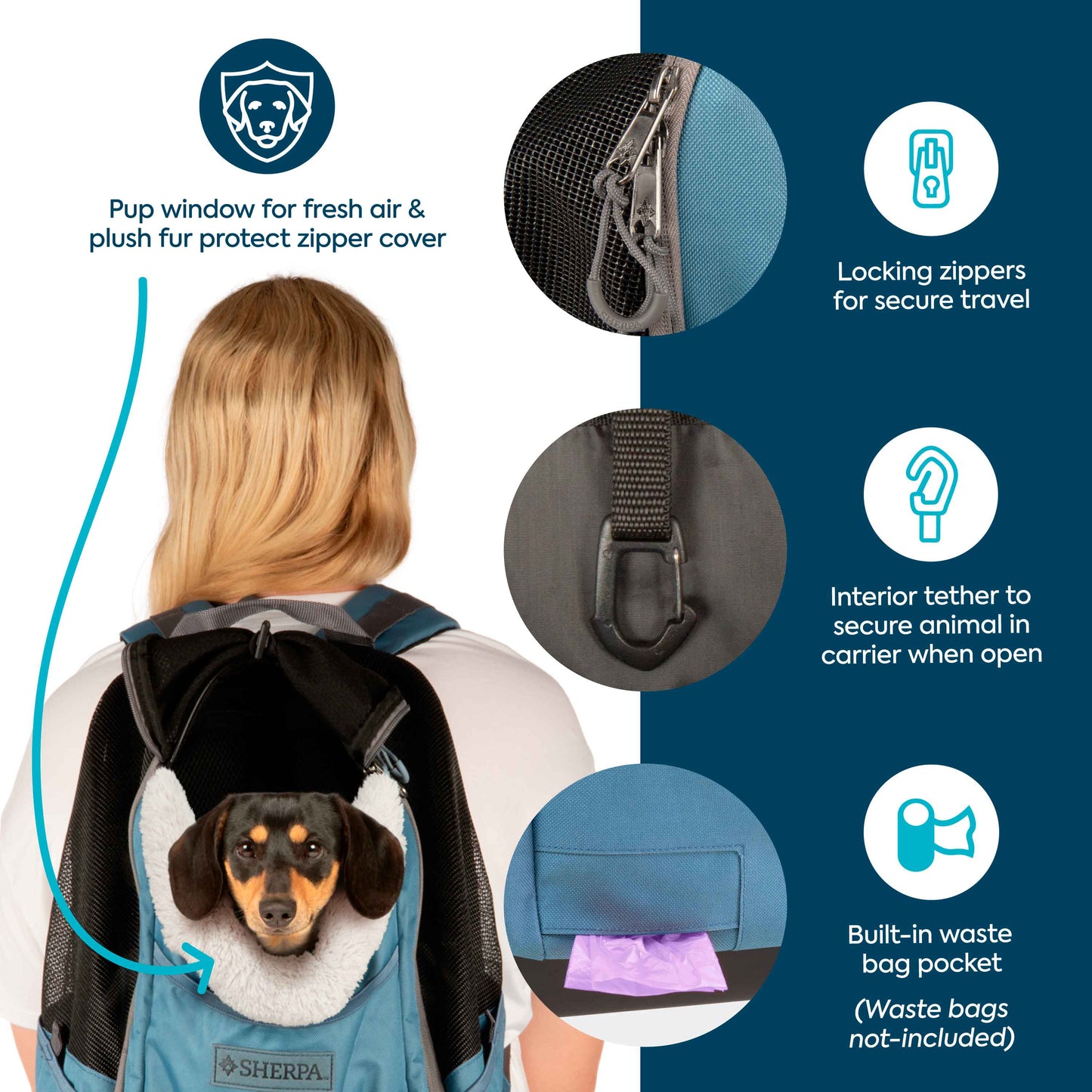 Elevation Pet Backpack for Cats & Dogs, Blue, Medium