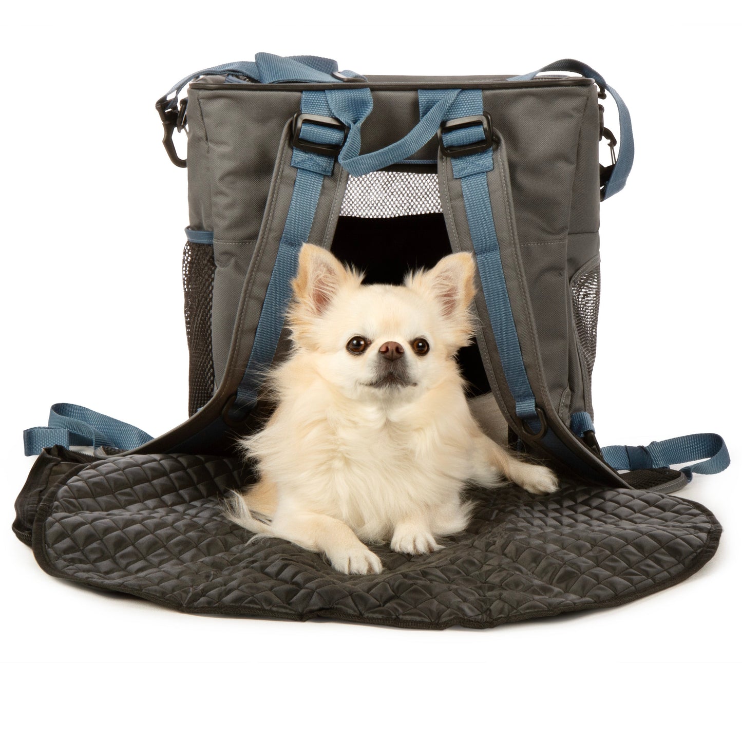 Trek Tote 2-in-1 Pet Backpack & Tote for Cats & Dogs, Medium