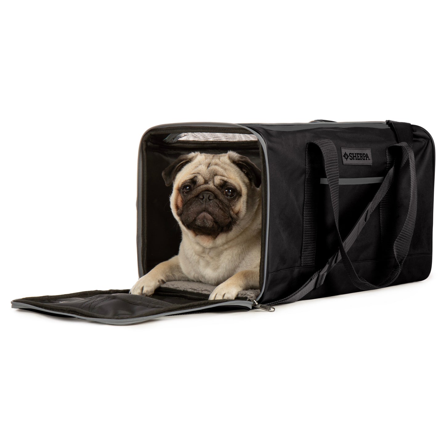 Essential Soft Sided Pet Carrier for Cats & Dogs, Black, Large