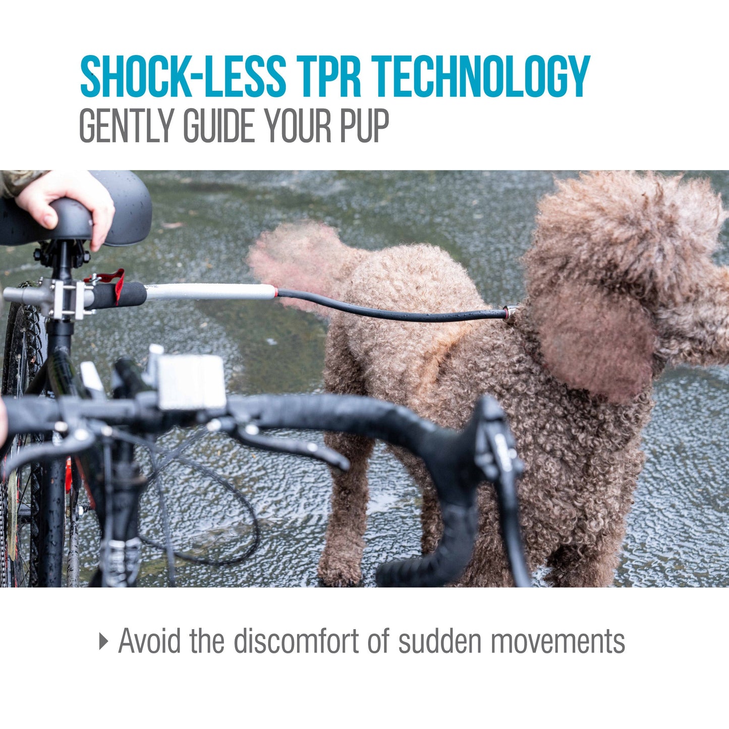 Cycleash Universal Bicycle Dog Leash