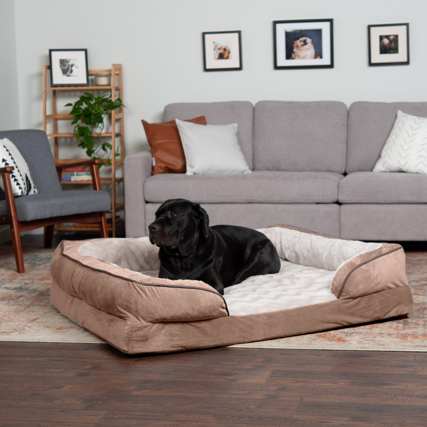 Sofa Dog Bed - Velvet Waves Perfect Comfort